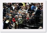 IMG_1337 * 800 x 533 * (622KB)