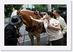 IMG_1656 * 800 x 534 * (610KB)