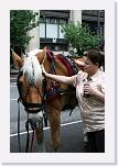 IMG_1658 * 533 x 800 * (581KB)
