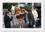 IMG_1661 * 800 x 534 * (607KB)