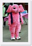 IMG_1955 * 532 x 800 * (593KB)