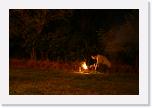 IMG_3513 * 800 x 533 * (464KB)