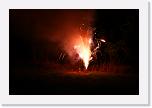 IMG_3515 * 800 x 533 * (416KB)
