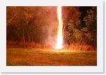 IMG_3517 * 800 x 533 * (643KB)
