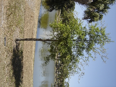 DSC09427.JPG