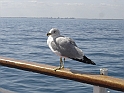 DSC09399