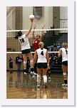 IMG_8509-1 * 534 x 800 * (97KB)