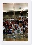 IMG_8601_filtered * 1818 x 2721 * (945KB)
